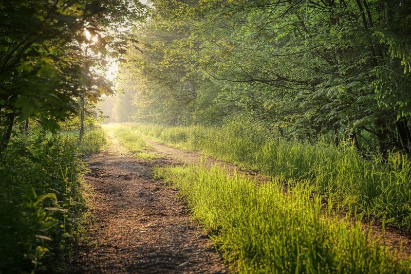 Nature Walk
